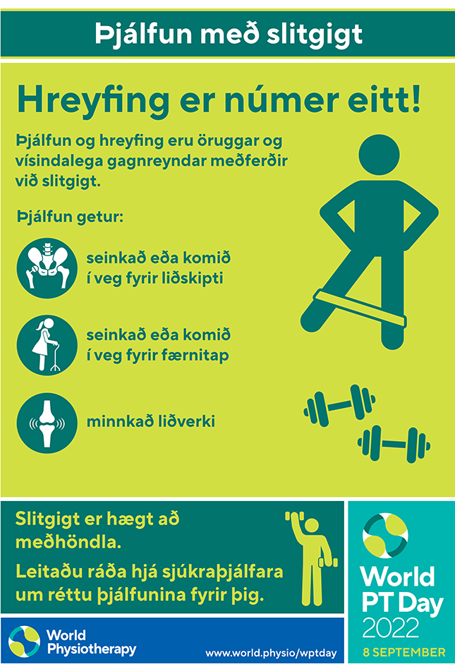 WPTD2022 Poster1 Icelandic thumbnail