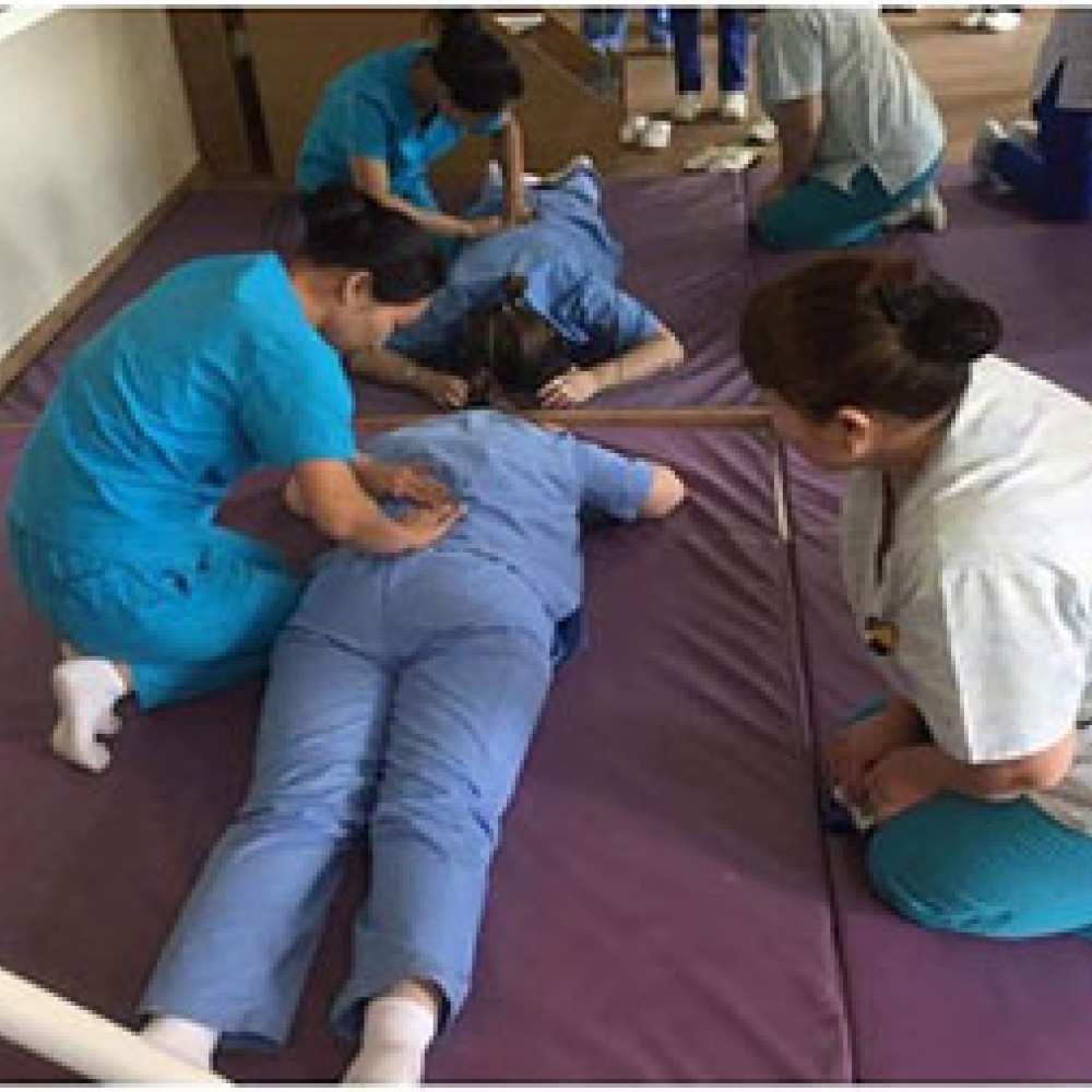 Photograph of World PT Day 2018 celebration in Mongolia