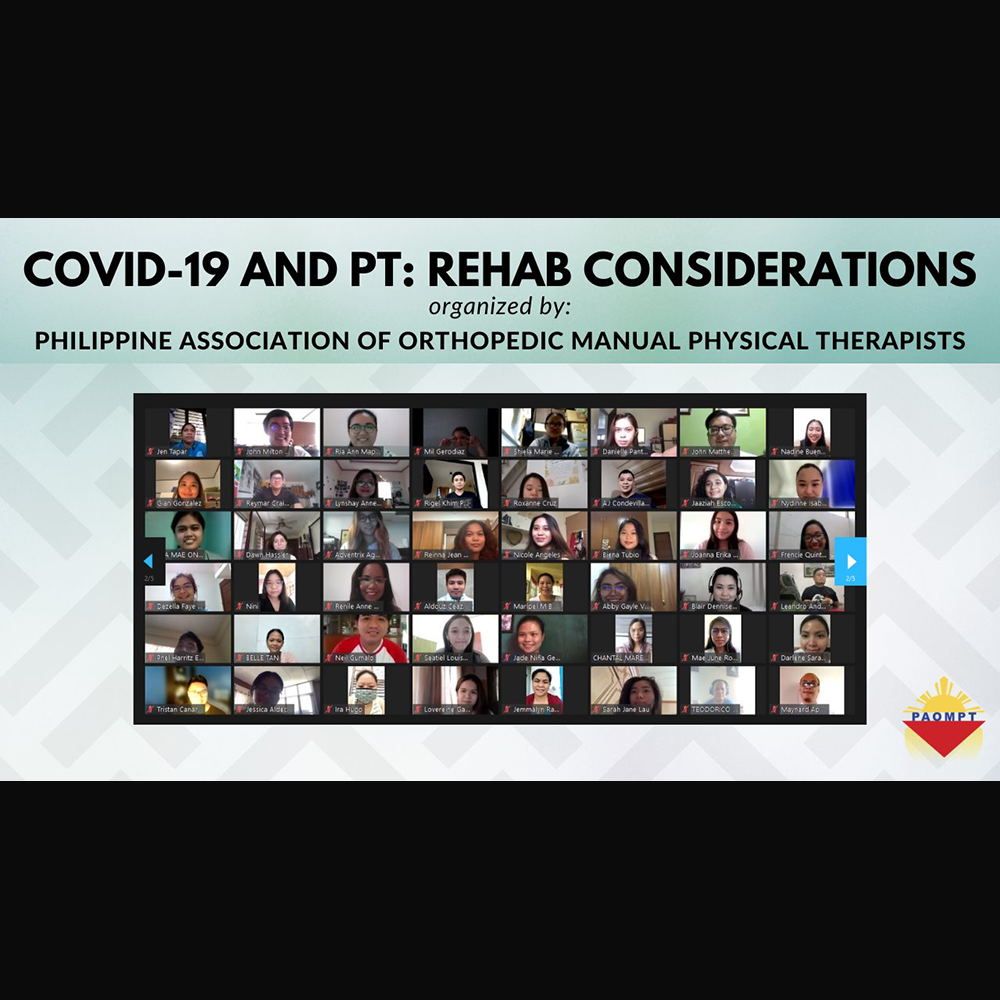 Image of webinar held in the Philippines to mark World PT Day 2021