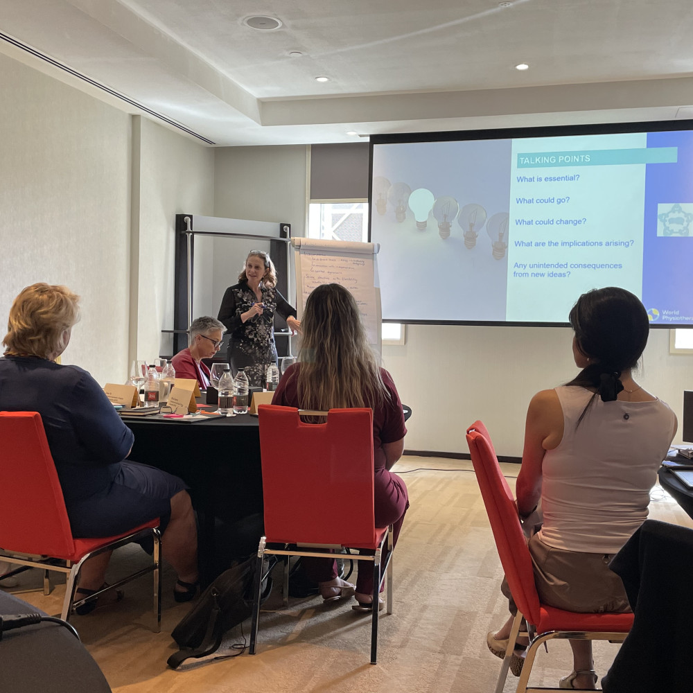World Physiotherapy subgroup summit meeting in Dubai
