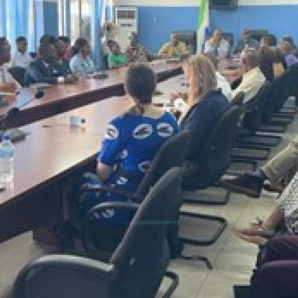 Meeting with representatives of the Sierra Leone health ministry