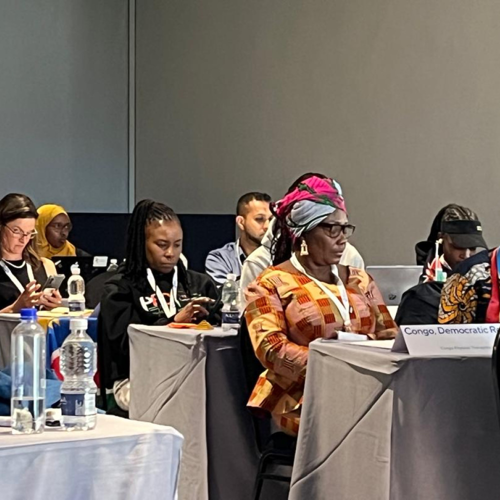 Delegates at World Physiotherapy Africa region general meeting September 2024